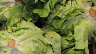 Inflación se desaceleró a 10% en julio y quedó al borde del dígito