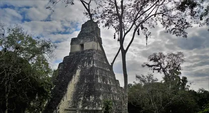 El Observador | 1544379779306.webp