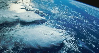 El Observador | 0000341129.webp