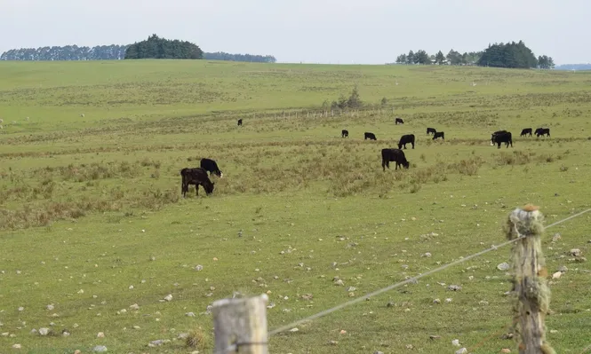 Colonia es uno de los puntos más buscados por los argentinos