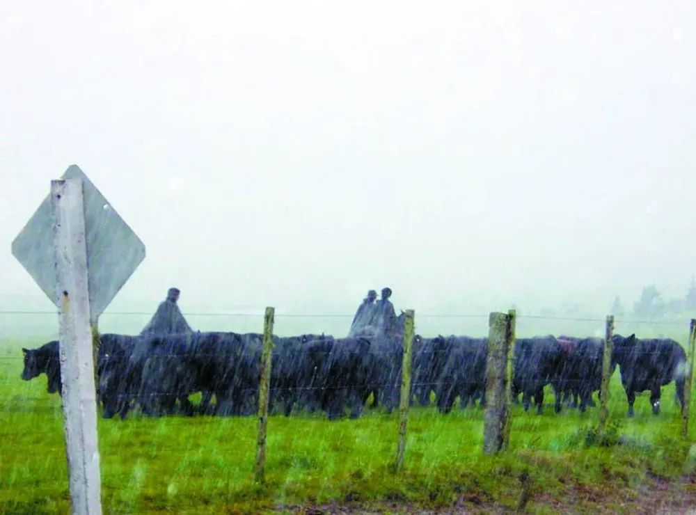 El Niño llega con exceso de agua en la región