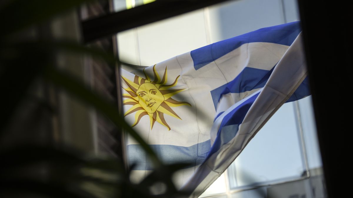 Imagen noticia completa