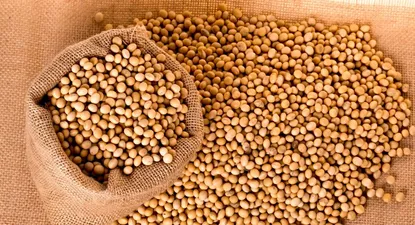 Rematan casi 48 mil kilos de harina de soja