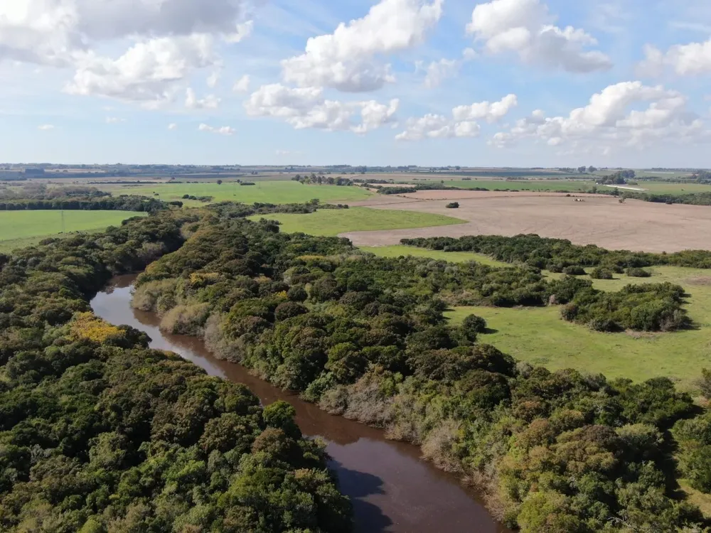Gobierno enviará proyecto antes de fin de año