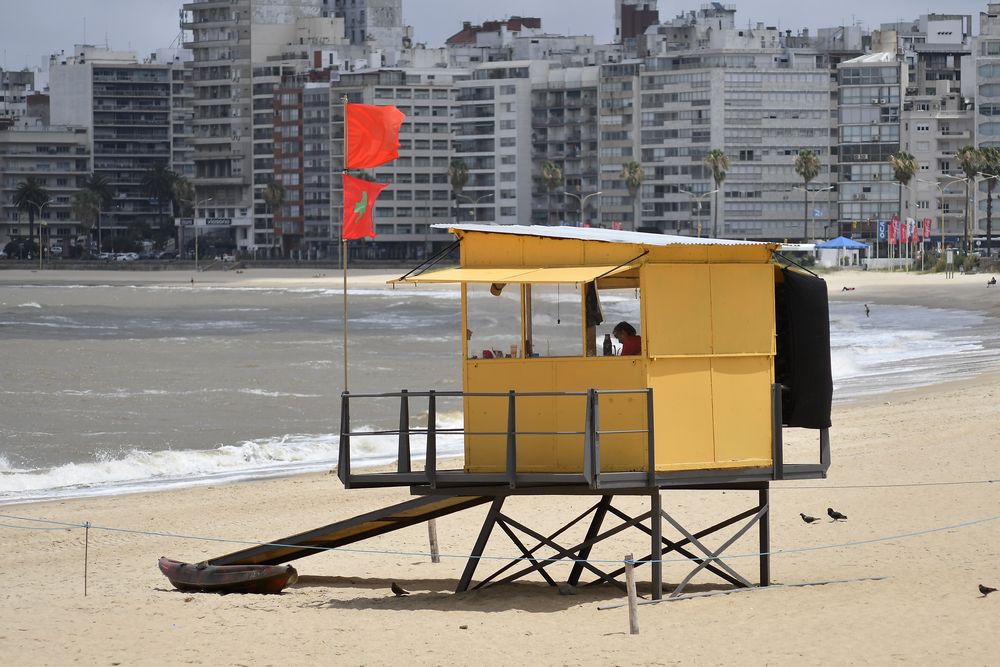 Guardavidas, bandera sanitaria.