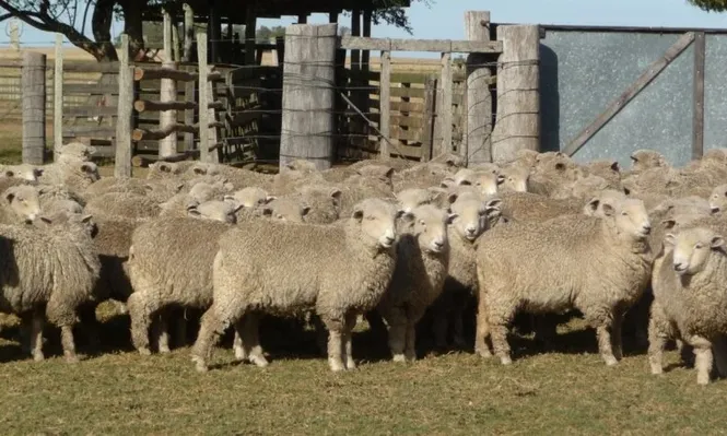 La capacitación es clave para los pequeños producotres