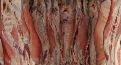 El negocio de la carne ovina sigue firme