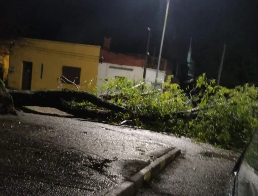 Temporal en Cerro Largo