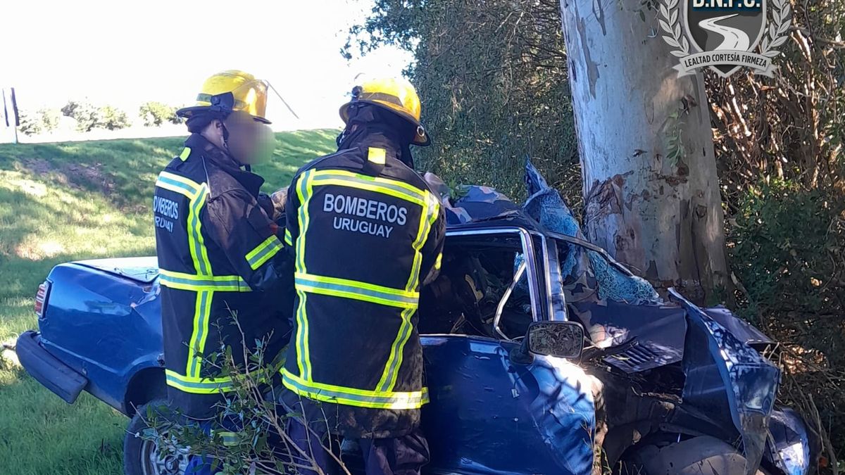 Imagen noticia completa