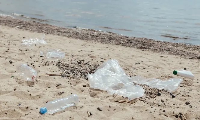 Los científicos advierten que la absorción de microplásticos a través de los alimentos de origen marino pone en peligro a las comunidades costeras e indígenas