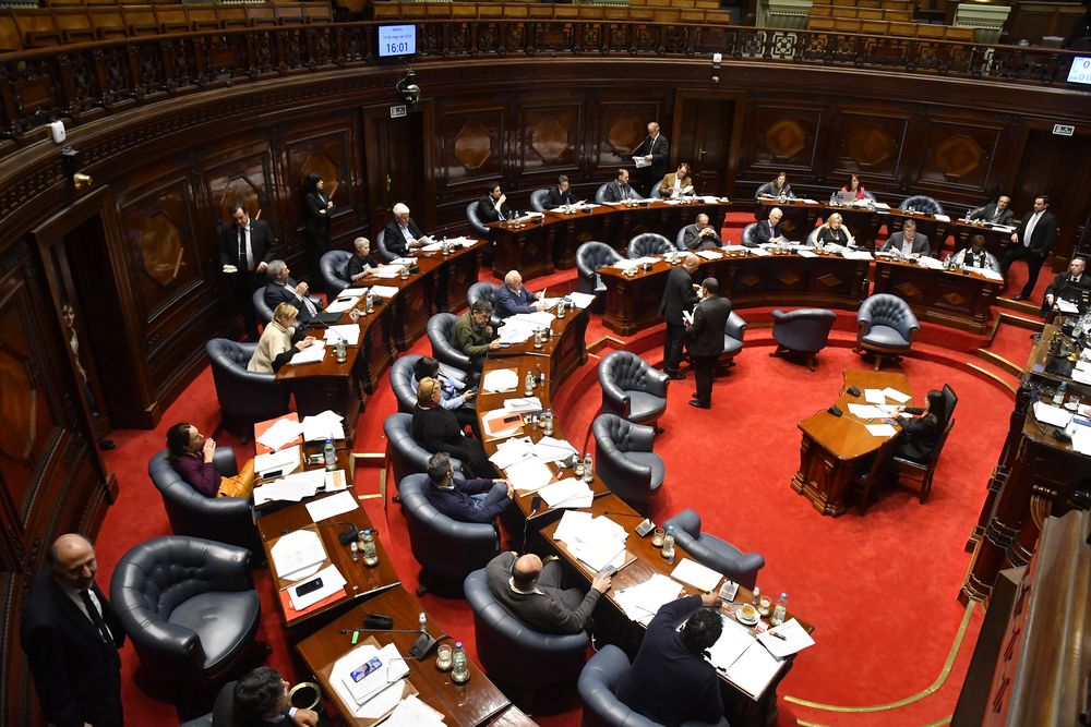 20240514 cámara de senadores