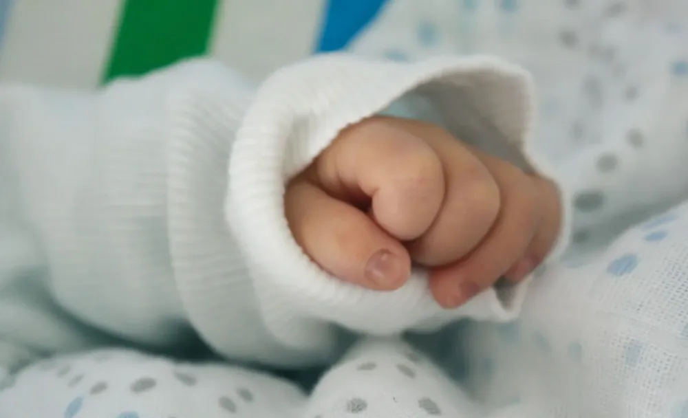baby-child-fingers-15988.webp