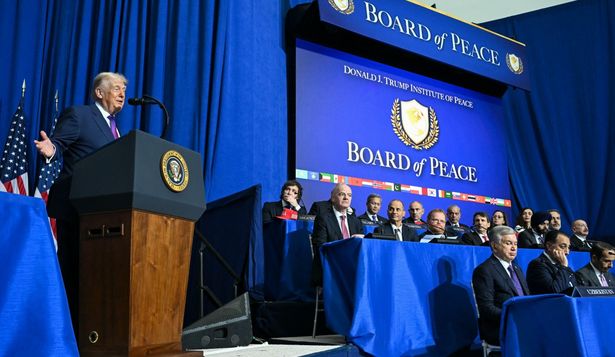 Consejo de la Paz: Trump destacó su apoyo a Milei y el presidente argentino ofreció enviar Cascos Blancos a Gaza