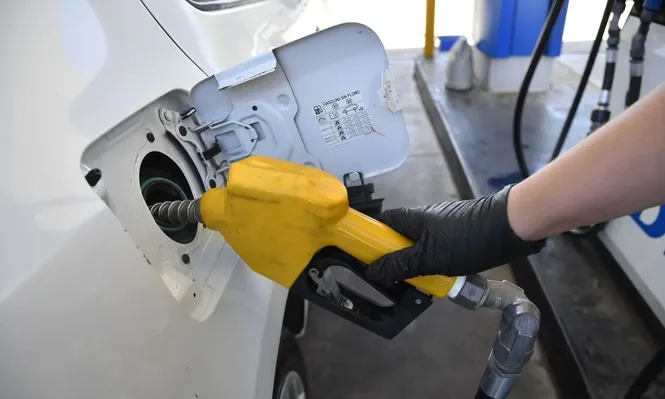 ¿Baja el gasoil y sube la nafta  en febrero? Ursea publicó el informe sobre precios de combustibles