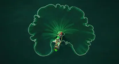 Hoja de loto del océano es el nombre de esta foto de Nguyen Vu, de Vietnam, que obtuvo el primer premio en la categoría Paisajes sobre agua