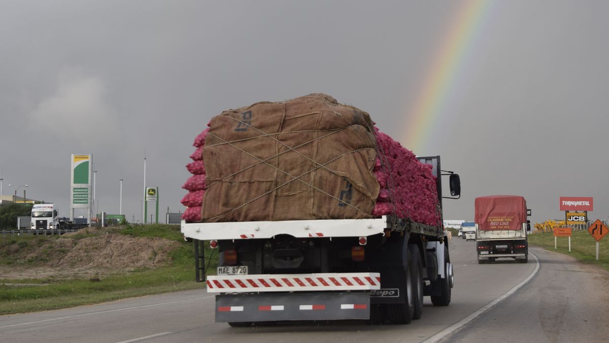 Alerta roja por frío: donación de productores de papa permitirá elaborar 300 mil porciones de guiso o puré