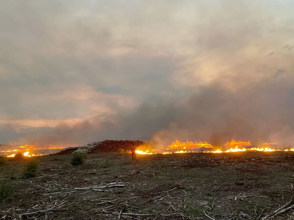 Incendio forestal que afectó a Paysandú.