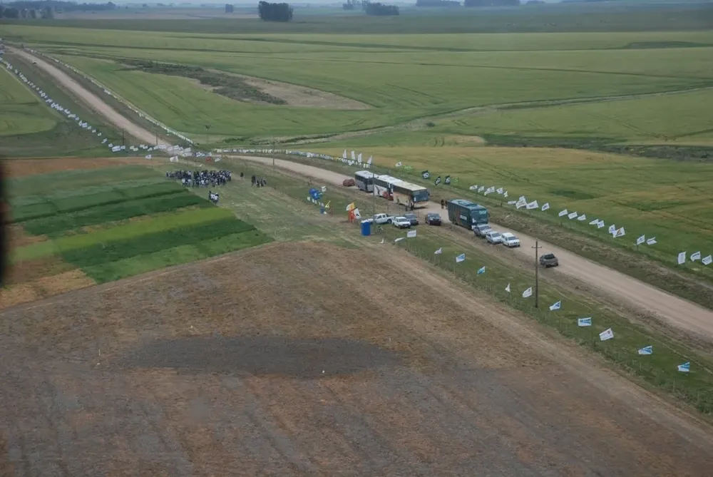 Actividad de extensión en uno de los campos de El Tejar