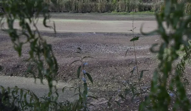 Tajamar casi seco, en una zona de Canelones.