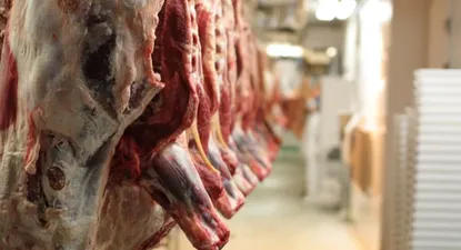 INAC informó sobre un incremento en la faena de vacunos.