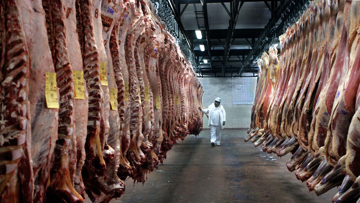 Marfrig da por caído el acuerdo en Uruguay pero Minerva asegura que “continúa activamente comprometida en asegurar la aprobación”