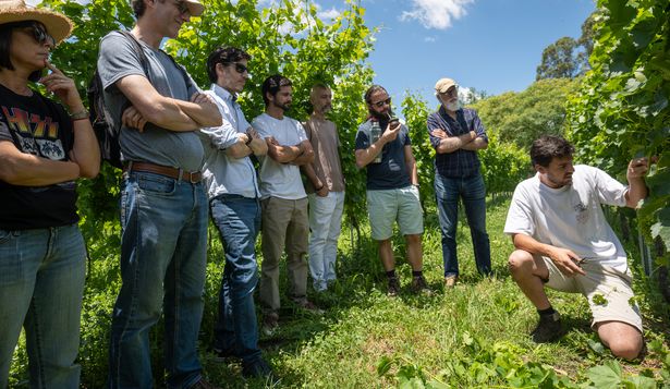 Desde Italia a Canelones: fundaron una bodega y ahora la cuarta generación de la familia creó una plataforma innovadora que enseña a elaborar vino