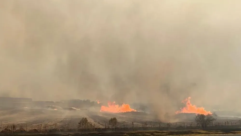 En Paysandú y Río Negro se quemaron 37 mil hectáreas.