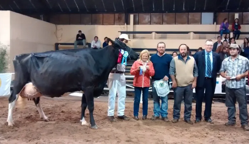 La Gran Campeona Holando de Don Polilcarpo de Benítez en el momento de ser coronada este sábado