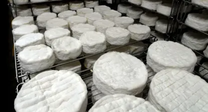 Quesos de exportación.