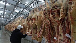 China cada vez compra más carne vacuna a Uruguay