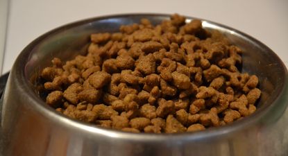 Alimento balanceado para mascotas.