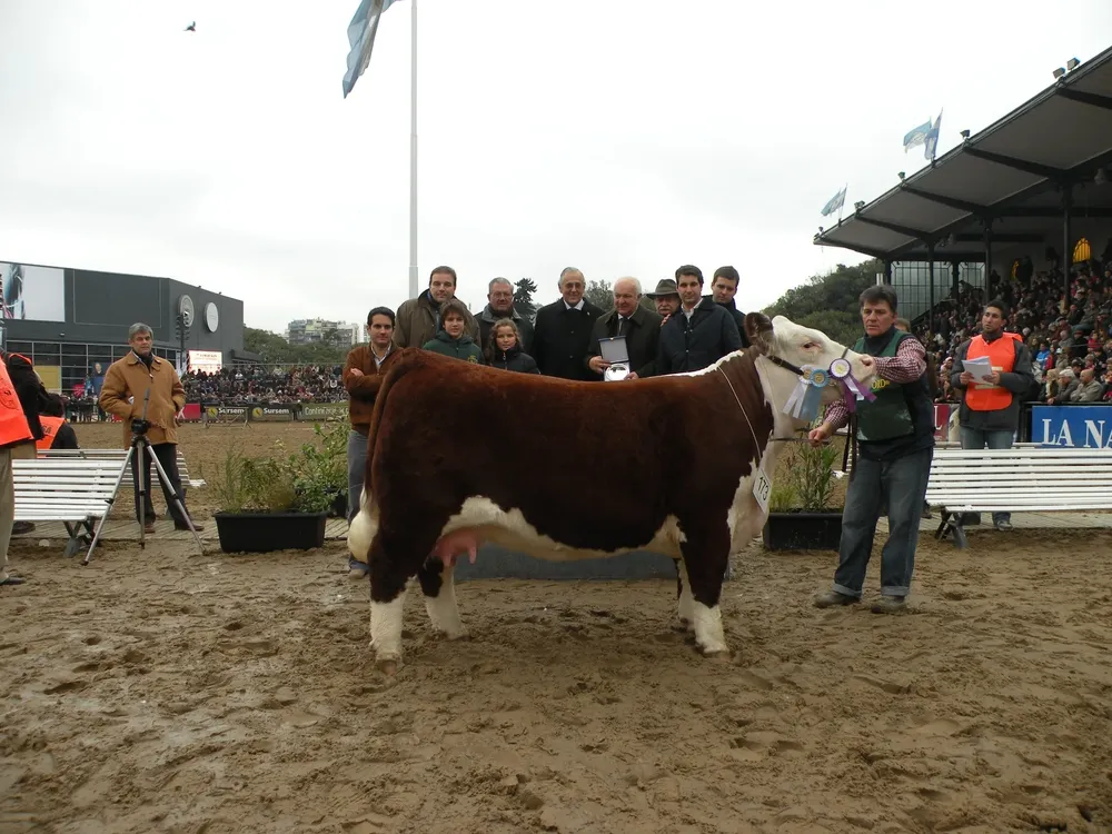 Vaca de Ganadera San Salvador repitió actuación similar a 2011 (foto)