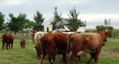 El Observador | 1607553191650.webp