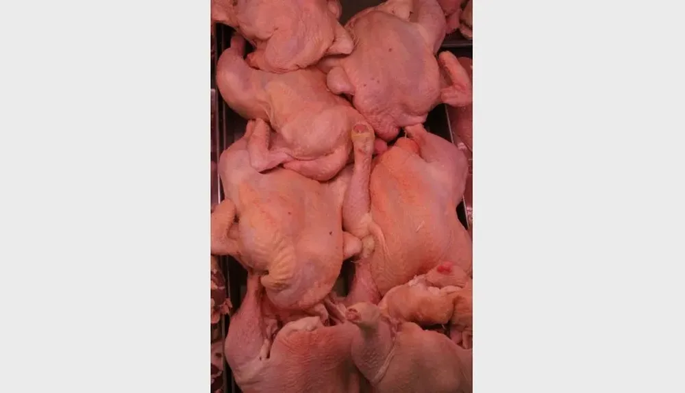La llegada de pollos de EEUU generó controversia