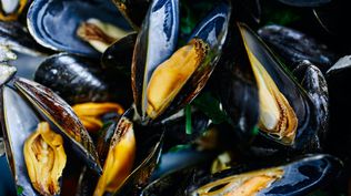 Mejillones, uno de los productos que, si procede de Rocha o Maldonado, ahora no se puede consumir.