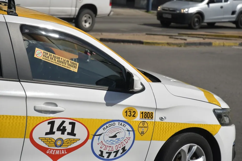 La normativa actual solo contempla la realidad de los perros guía