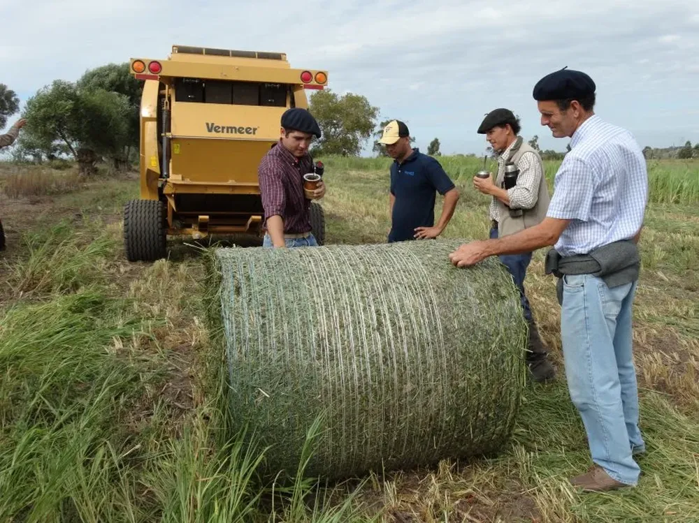 Aunque llueva, podrá desarrollarse la mayor parte del programa de actividades.