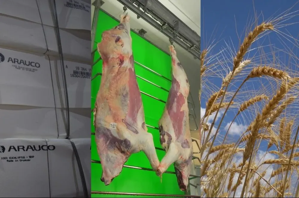 Las principales exportaciones al inicio de 2024.