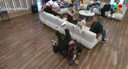 Jugadores de Gran Hermano peleando