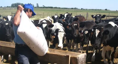 UTE ve factible que rebaja tarifaria para tambos siga hasta diciembre