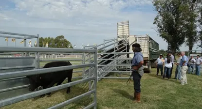 El Observador | 0000024022.webp