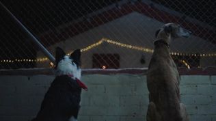 El estremecedor spot navideño de Atlético de Madrid: La lealtad es una decisión del alma