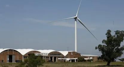 Ventus exporta energía por debajo de los US$ 70 el MWh