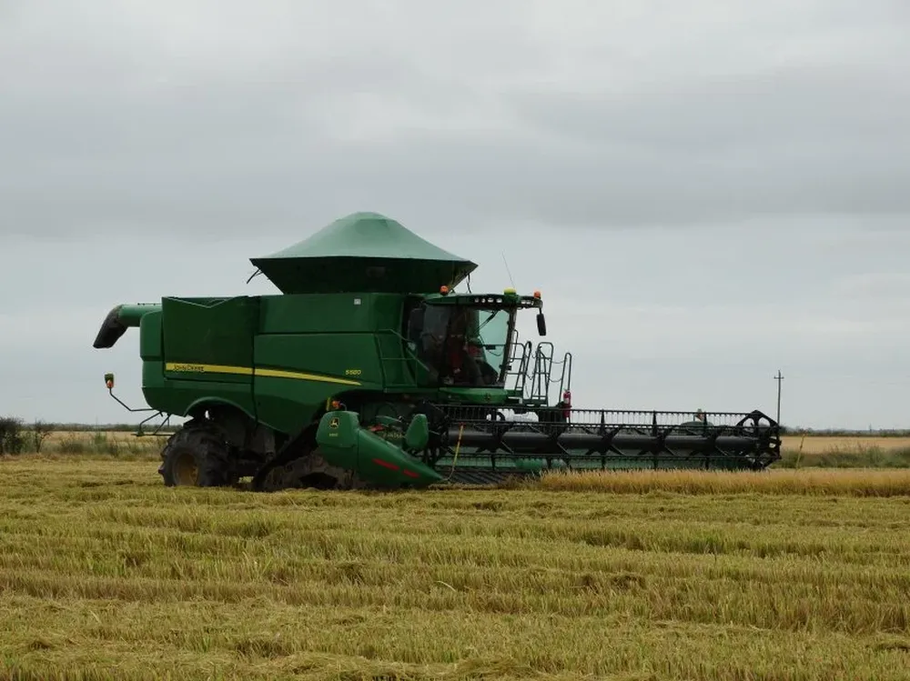 Los productores arroceros planean un nuevo achique del área.