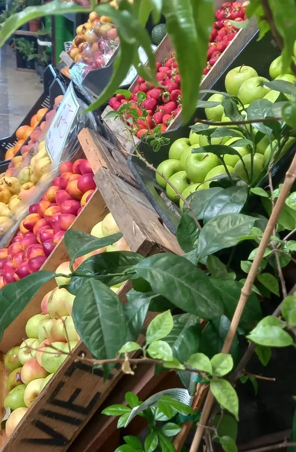 Se conoció una nueva Lista Inteligente.