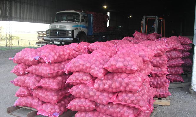 Negocios con agroalimentos, una actividad relevante para quienes producen, comercializan y consumen.
