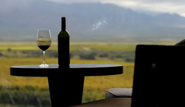Tres vinos uruguayos fueron distinguidos entre los mejores del mundo