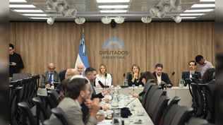 Régimen Penal Juvenil: Diputados acordó un dictamen con la baja de la imputabilidad a 14 años