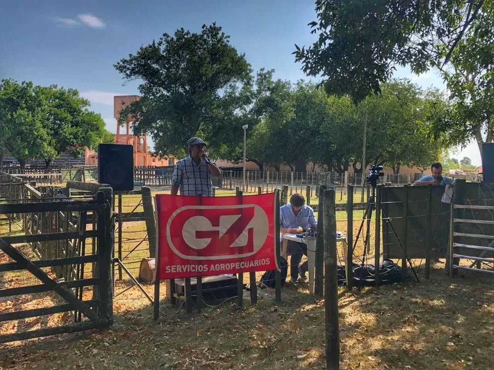 Alejandro Zambrano, director de Zambrano & Cía.