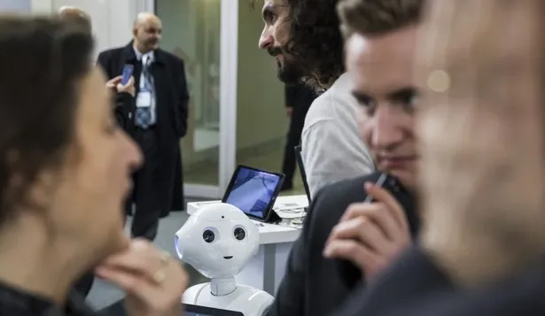 Compañero robot